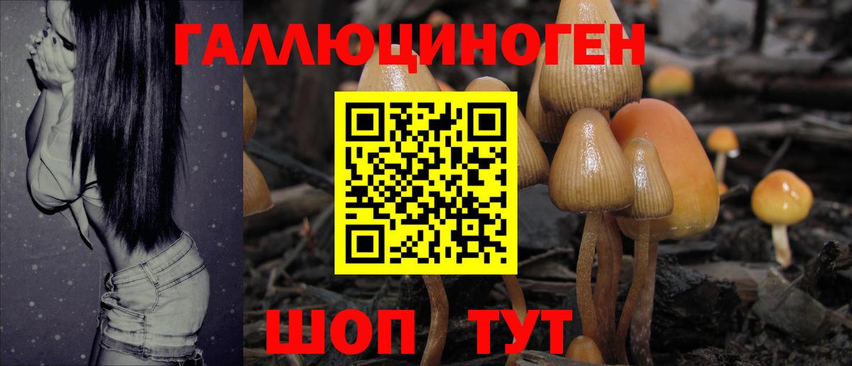 купить  цена  Вход с VPN  Гуково  Псилоцибиновые грибы мухоморы 